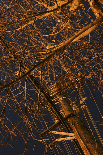 night shooting