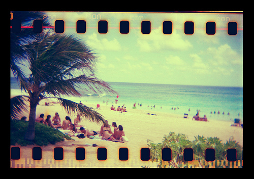 dreaming of hawaii