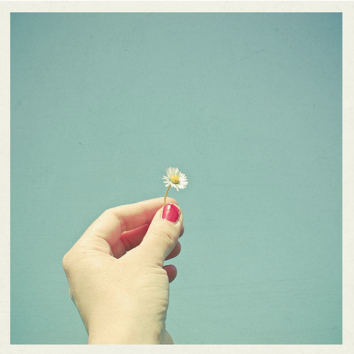 flickr friday