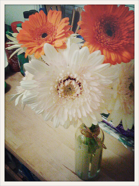 {snapshop} flowers from melody