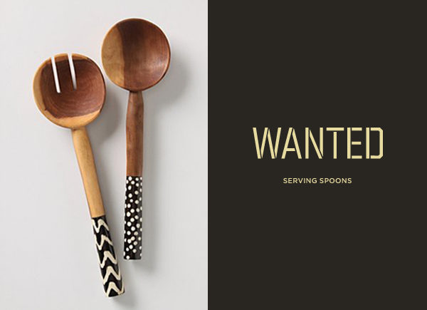 wanted / serving spoons