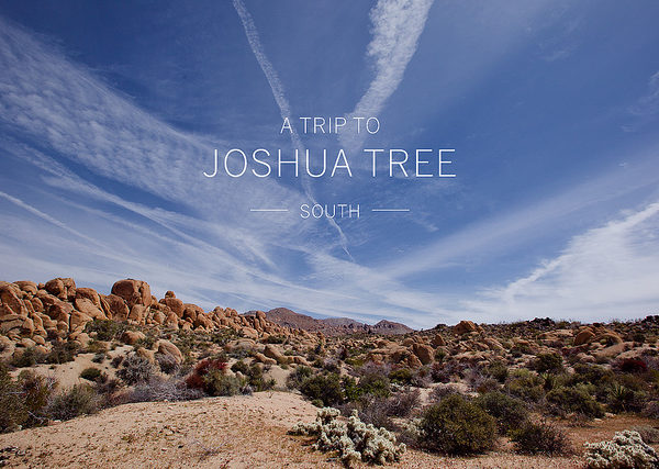 Joshua Tree – South