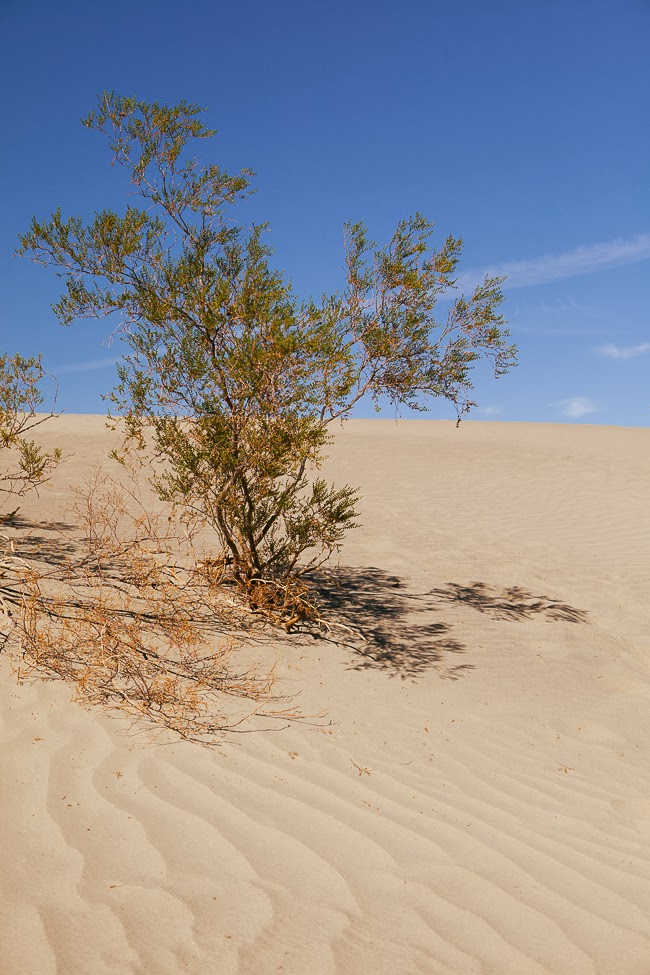 Death Valley / blog.jchongstudio.com