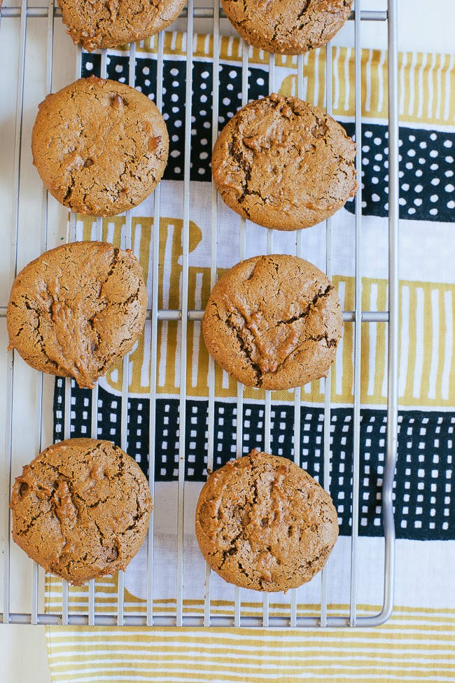 Ginger Molasses Cookies / blog.jchongstudio.com