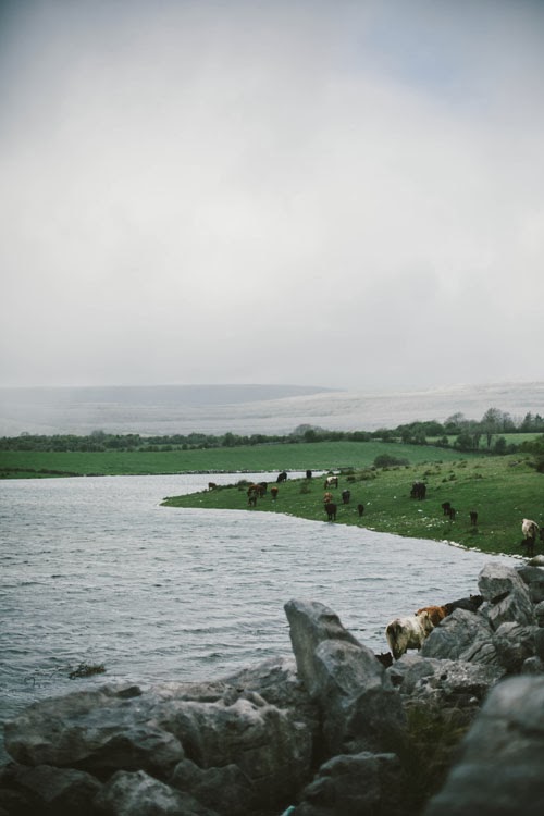 Ireland / Beth Kirby