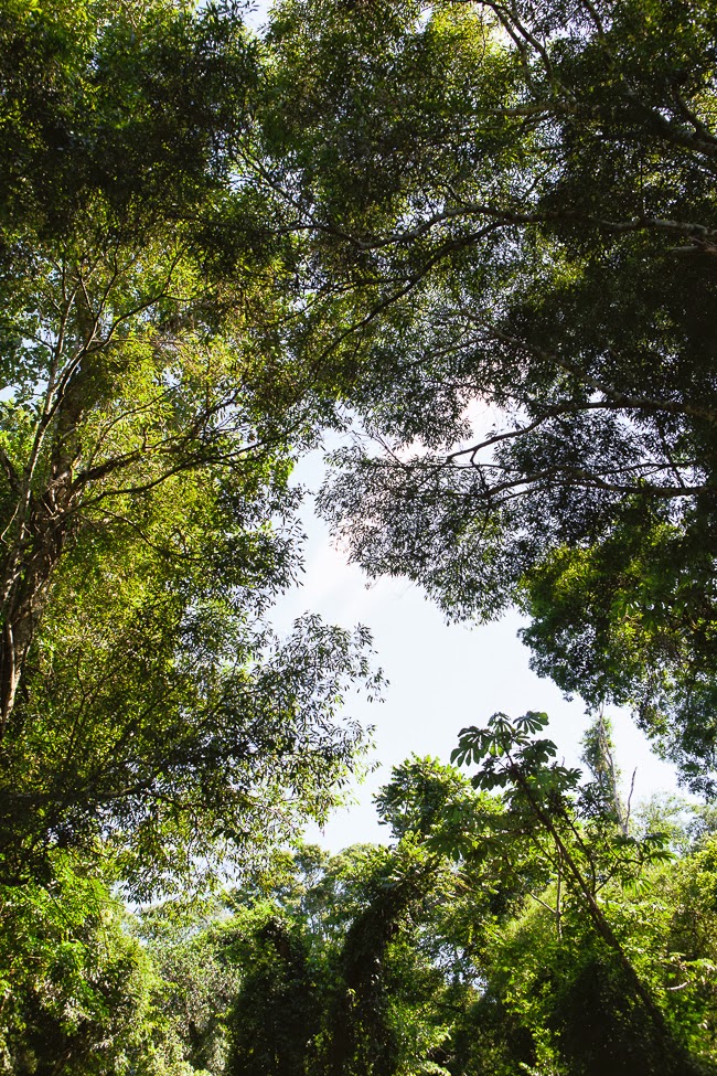 Iguazu / blog.jchongstudio.com