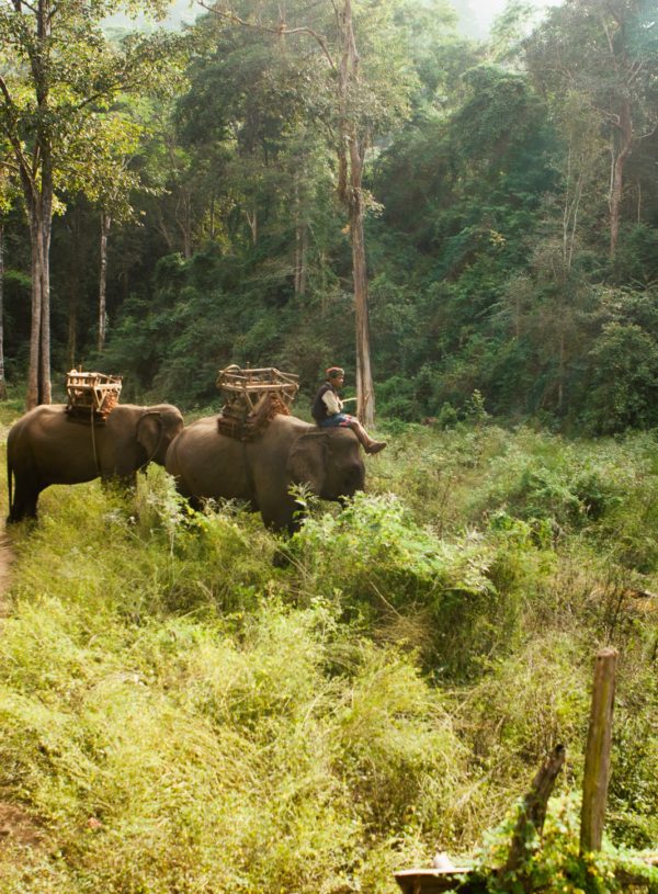 Chiang Mai, Thailand