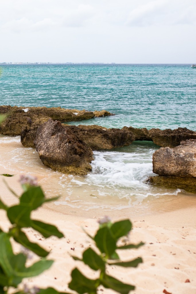 Camana Bay, Grand Cayman / See and Savour