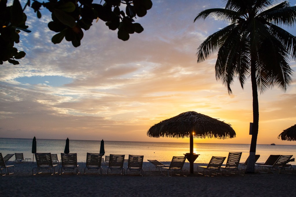 Grand Cayman / See and Savour