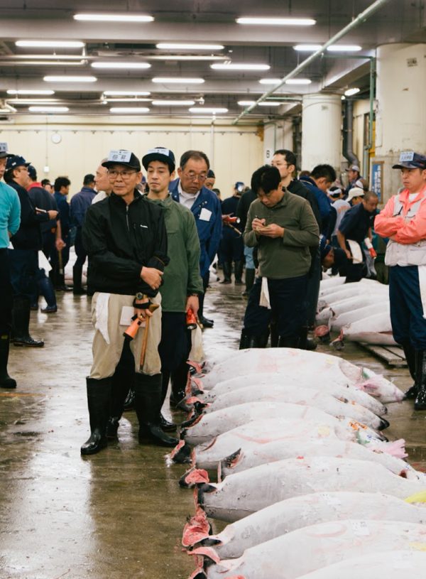Tsukiji Fish Market – Life & Thyme