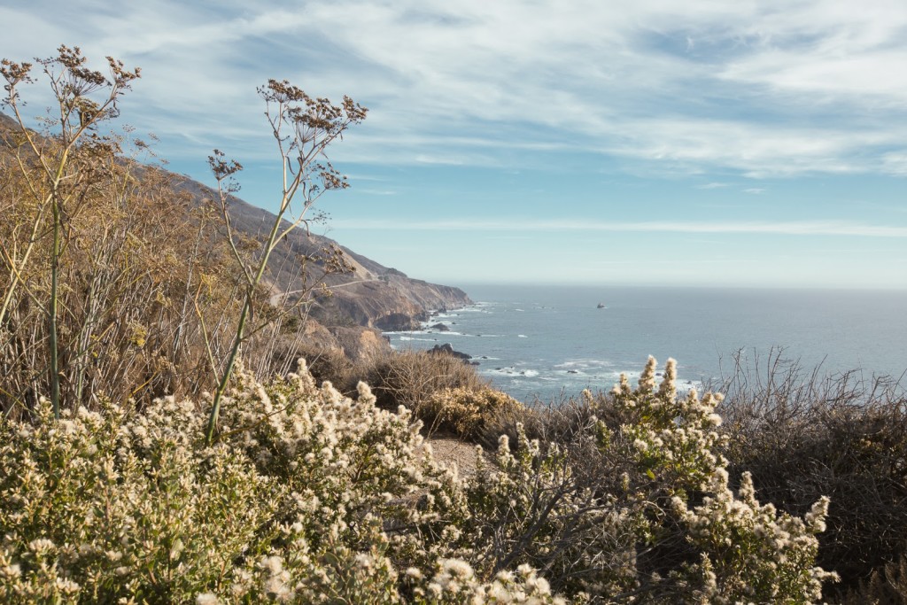 Big Sur / seeandsavour.com