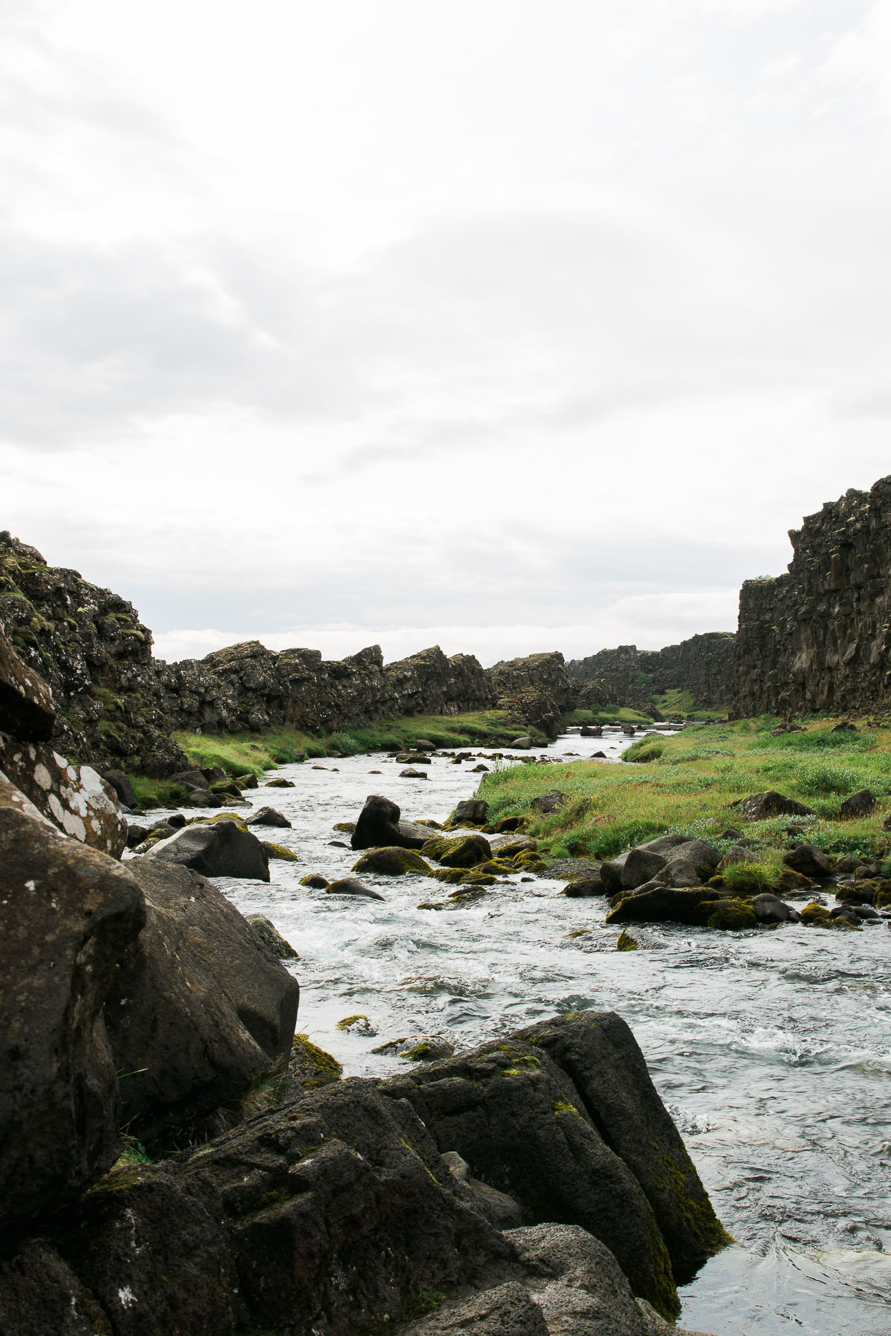 Þingvellir – Golden Circle / See and Savour