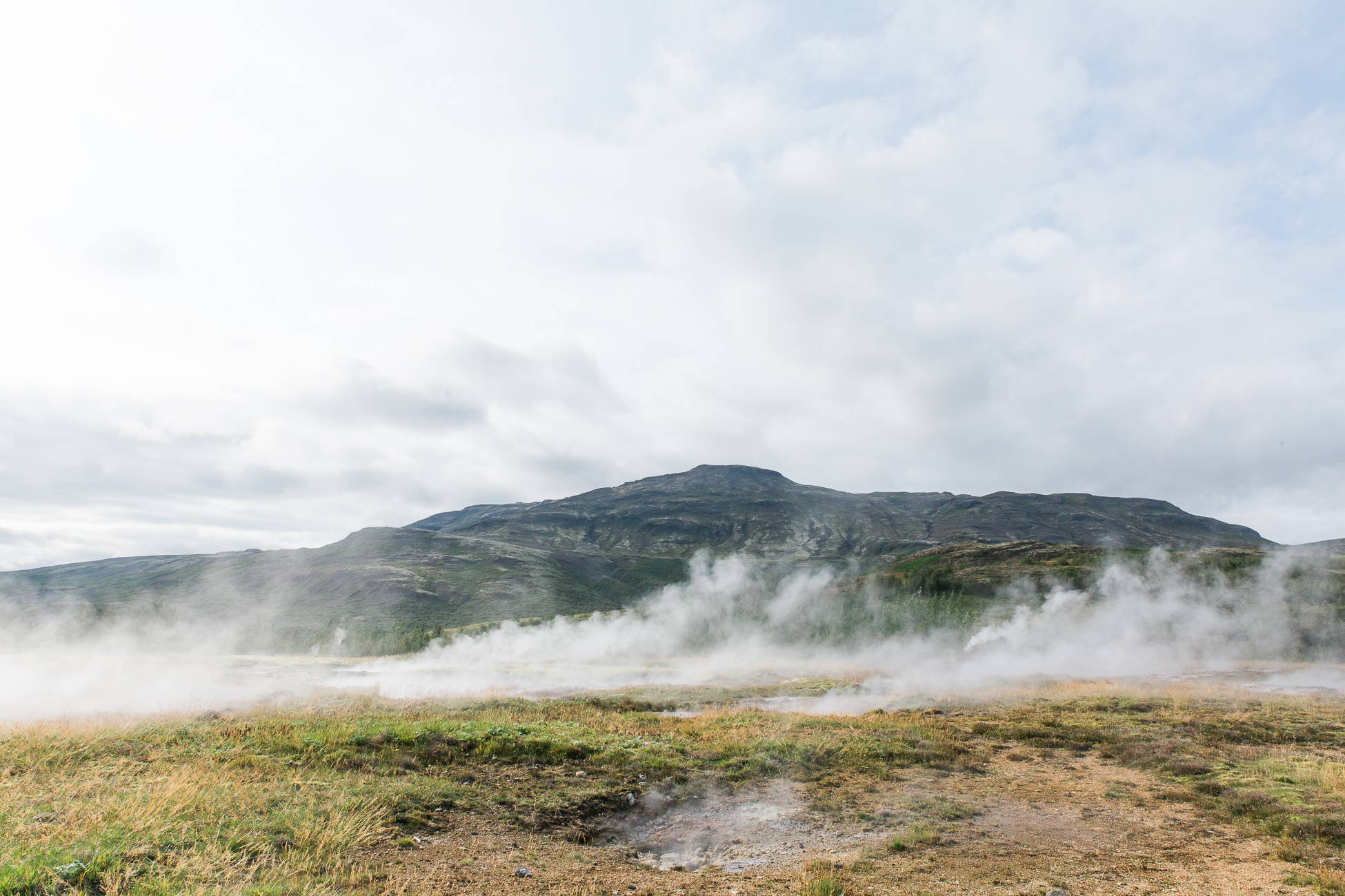 Haukadalur - Iceland / See and Savour