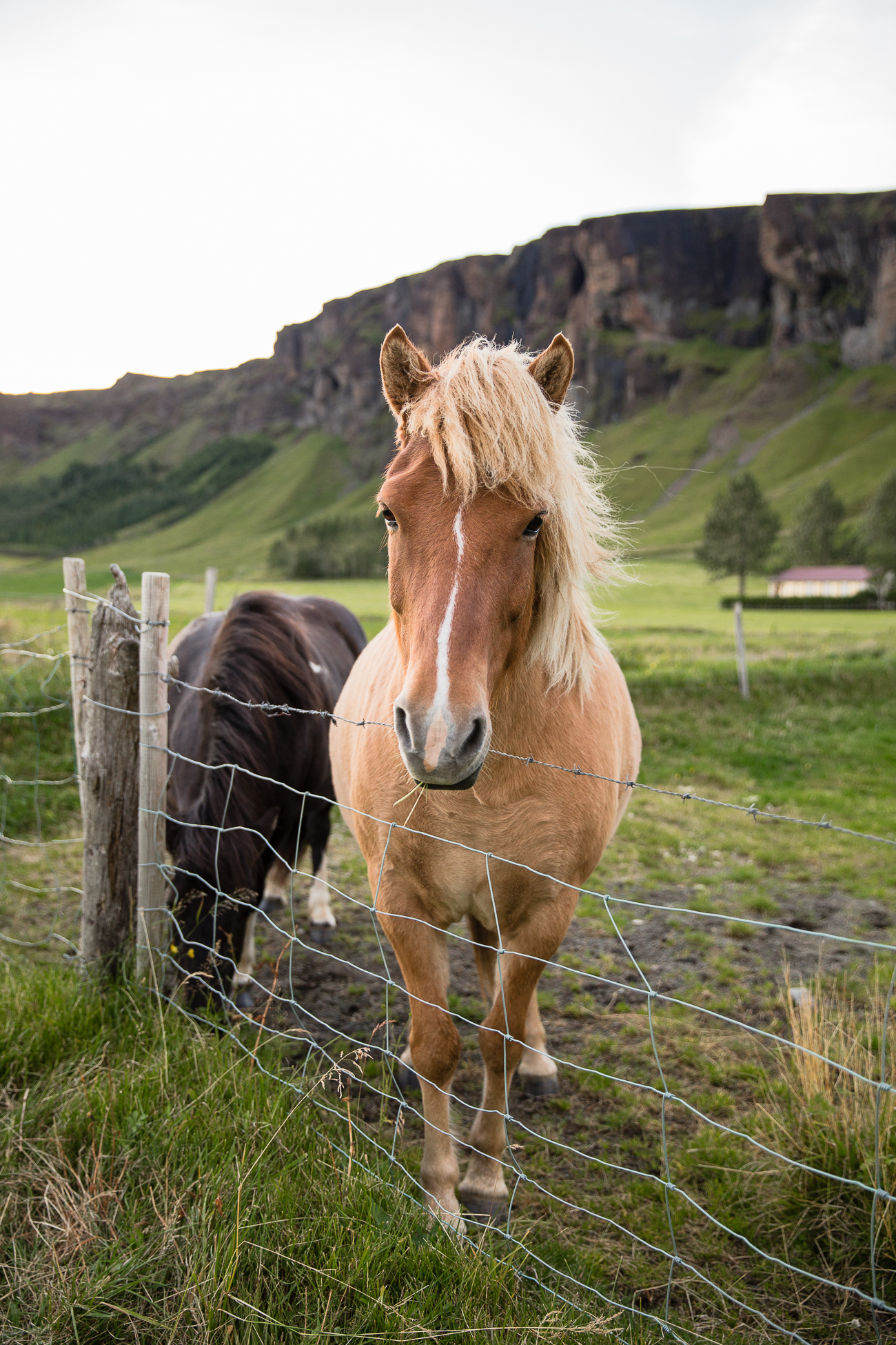 Iceland - Along the Road / See and Savour