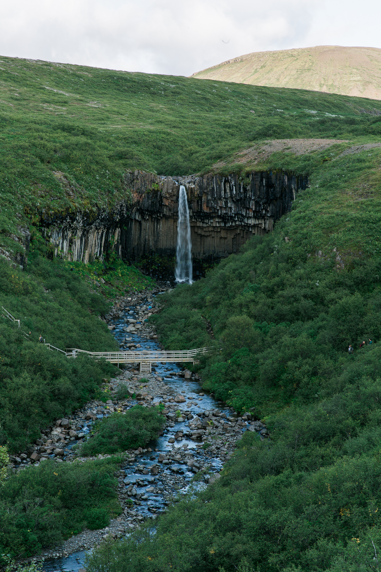 Vatnajökull National Park, Svartifoss Falls - Iceland / See and Savour