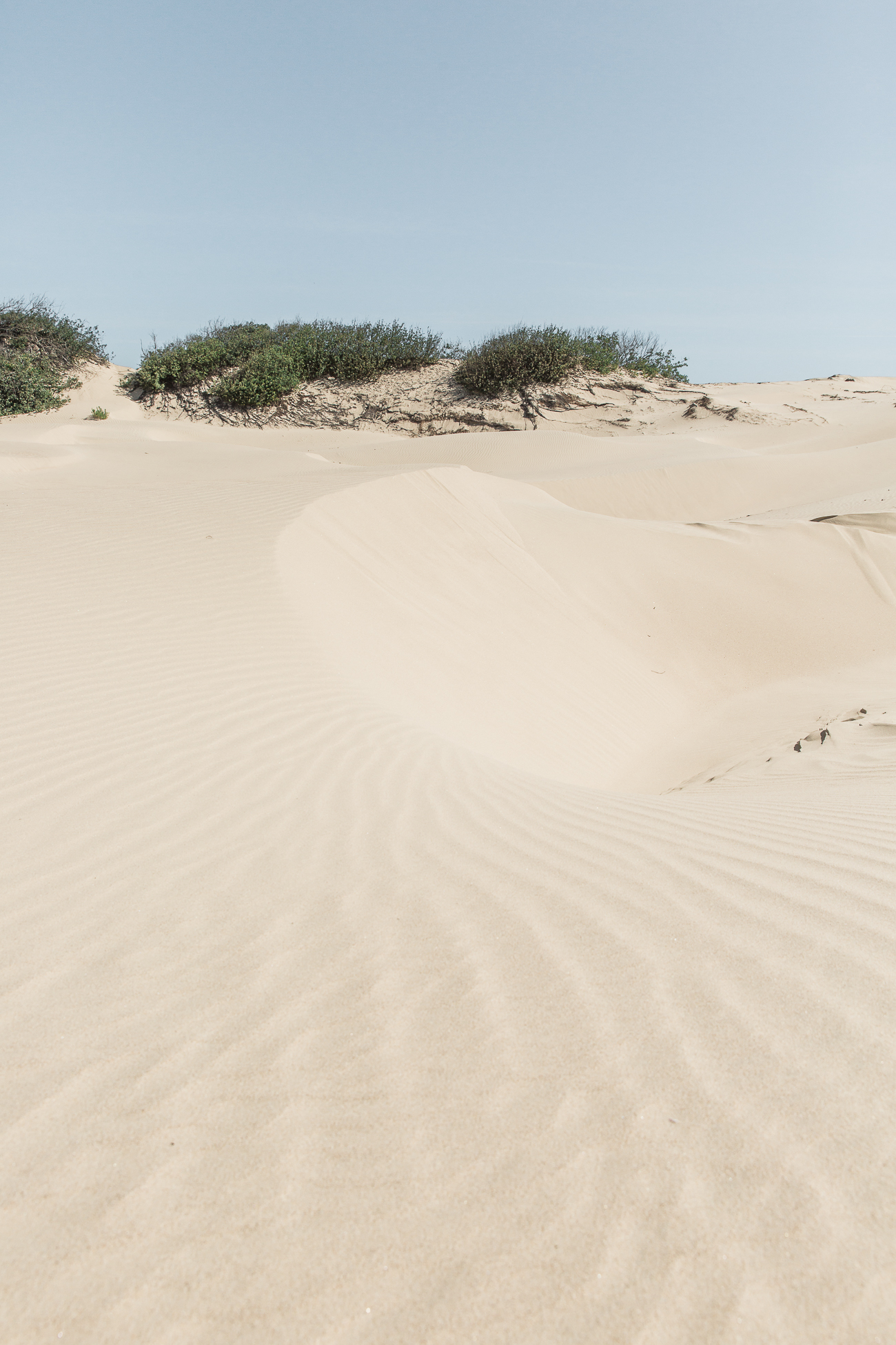 Pismo Beach Sand Dunes / See and Savour