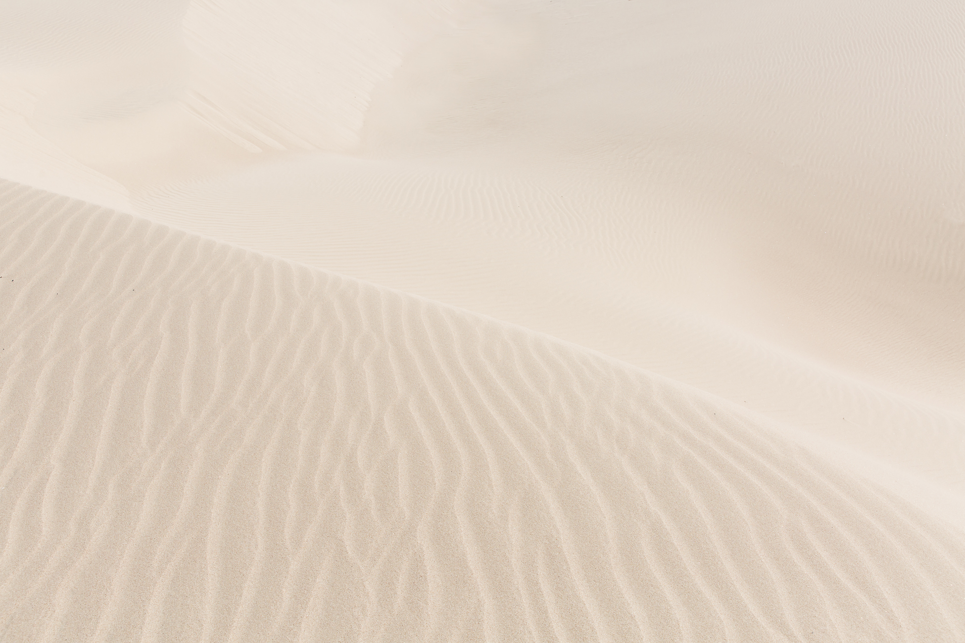 Pismo Beach Sand Dunes / See and Savour