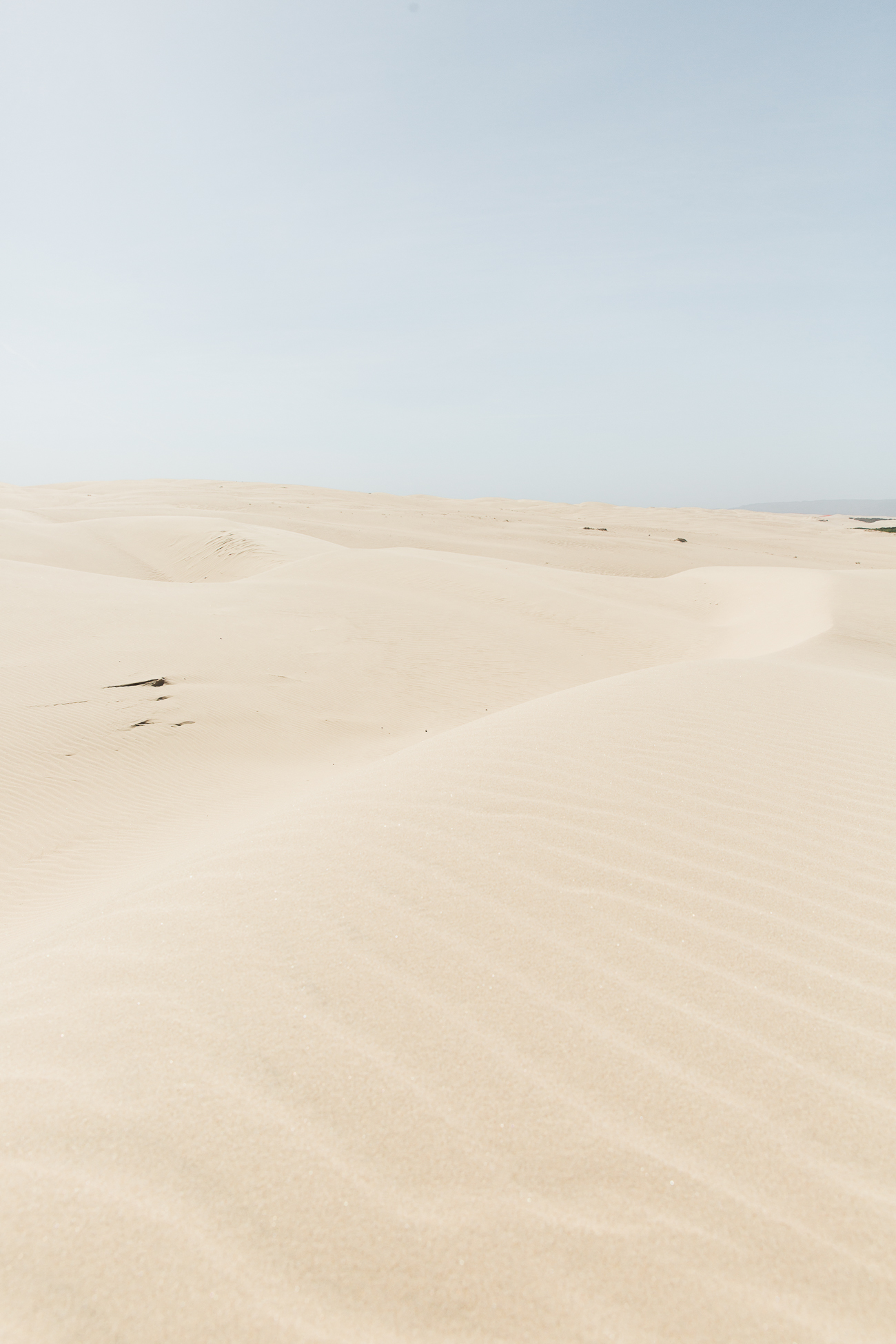 Pismo Beach Sand Dunes / See and Savour