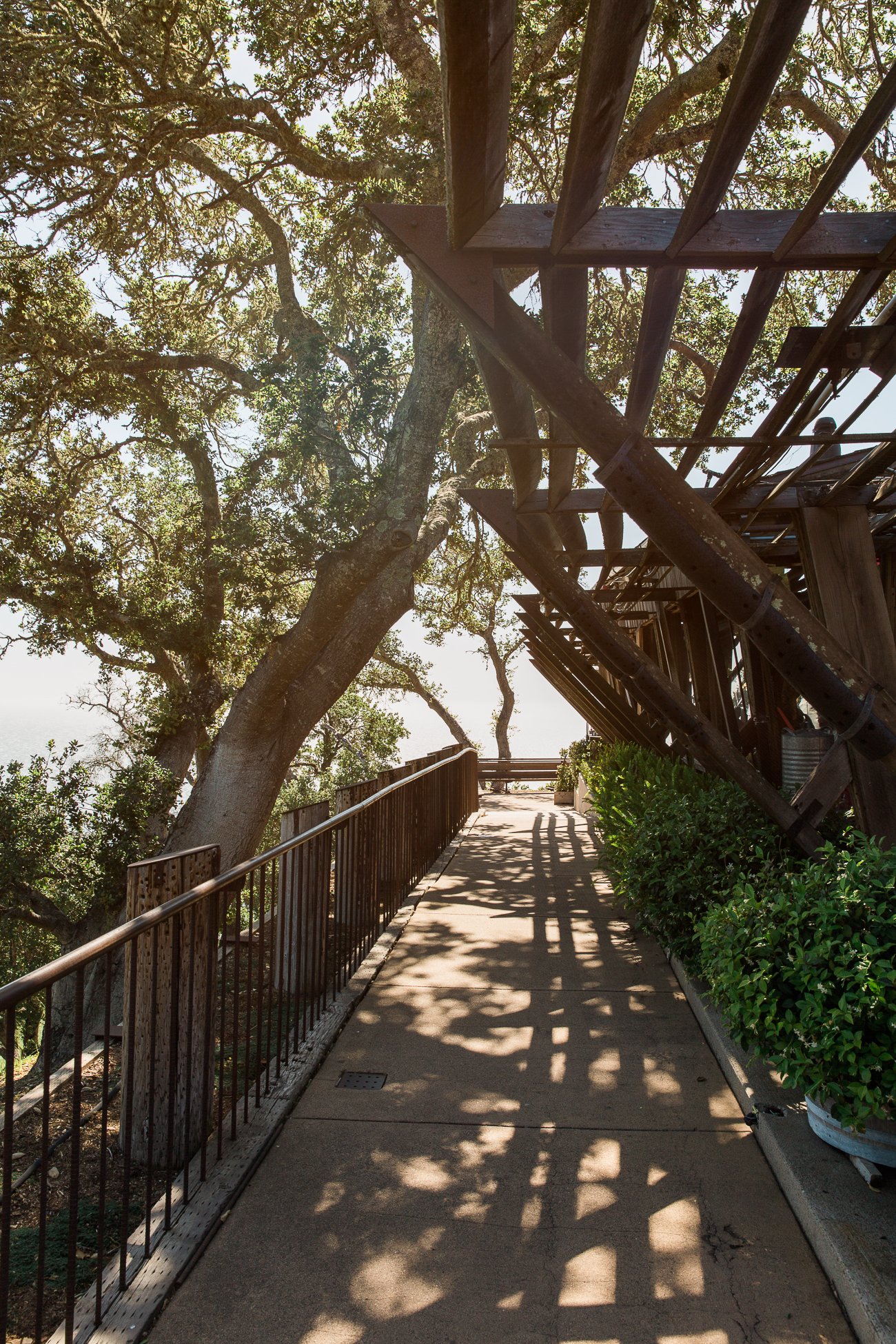 Nepenthe Cafe Big Sur / See and Savour