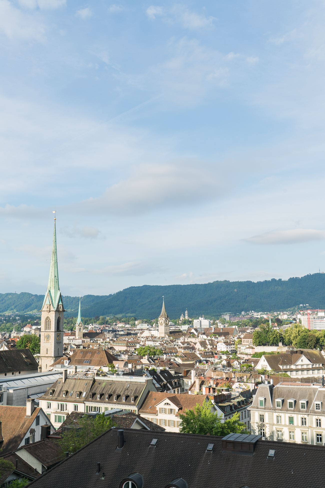 5 Best Views in Zurich / See and Savour