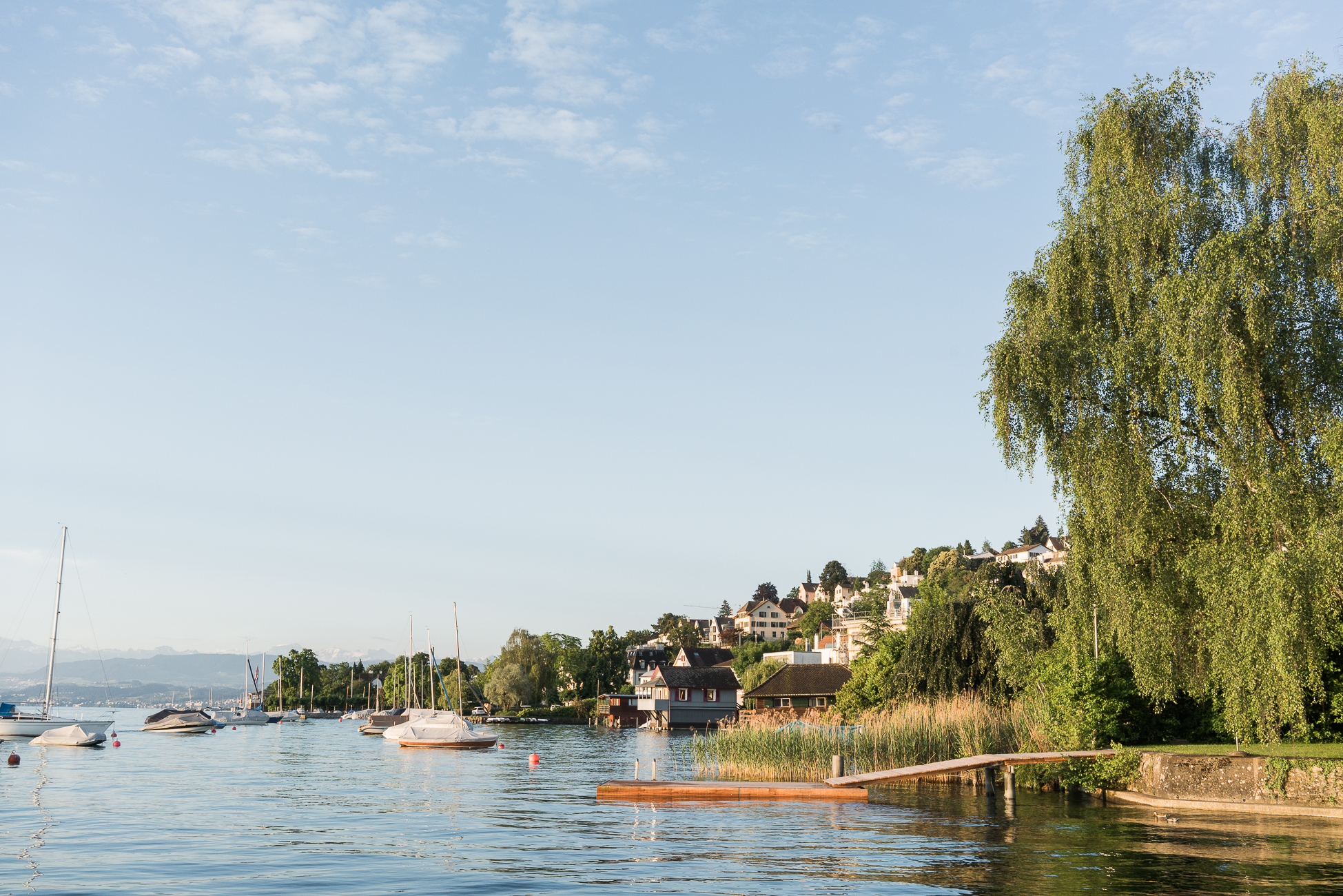 Travel Guide : Visiting Zurich, Switzerland / See & Savour