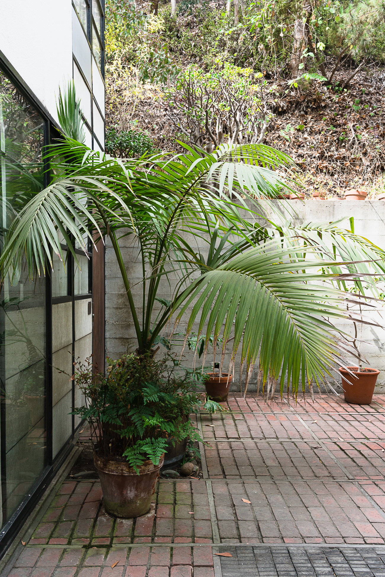 Visiting the Eames House Case Study #8 / See and Savour