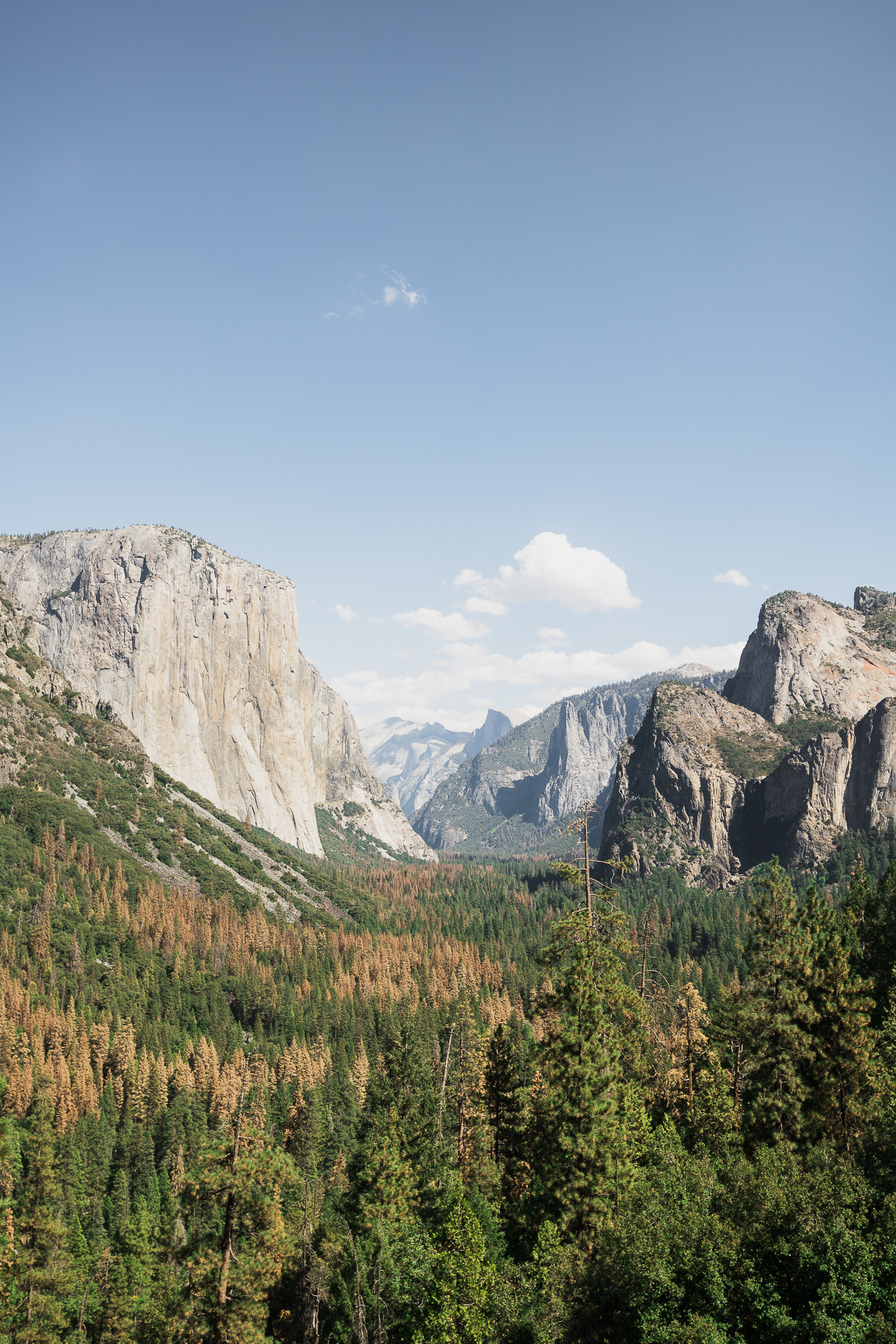 Tunnel View, Yosemite National Park / See & Savour