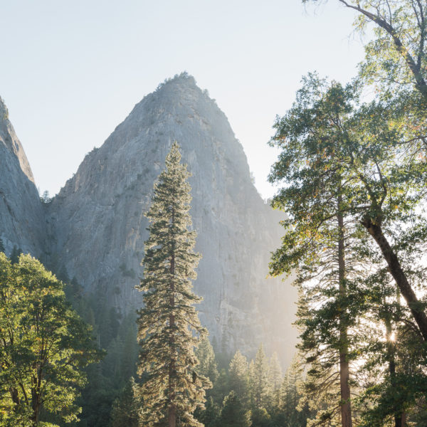 Evenings in Yosemite National Park / See & Savour