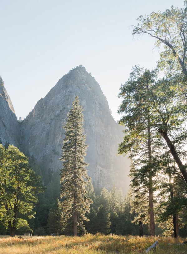 Weekend Scenes: Inside Yosemite National Park