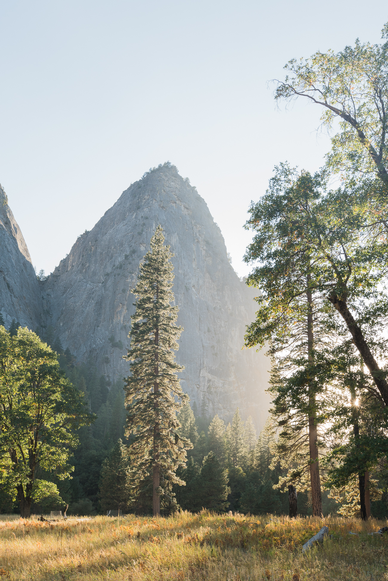 Evenings in Yosemite National Park / See & Savour