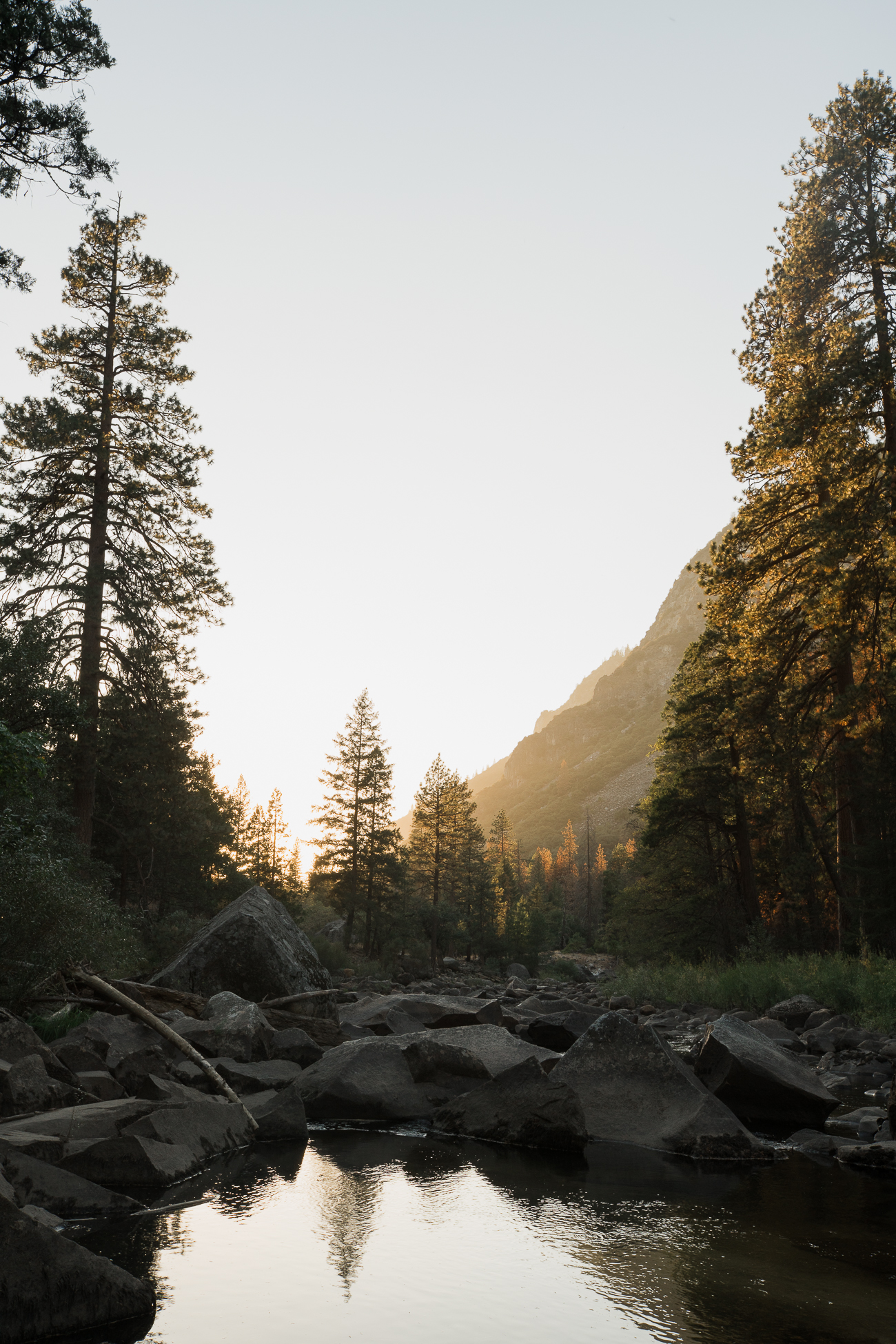 Fall in Yosemite National Park / See & Savour