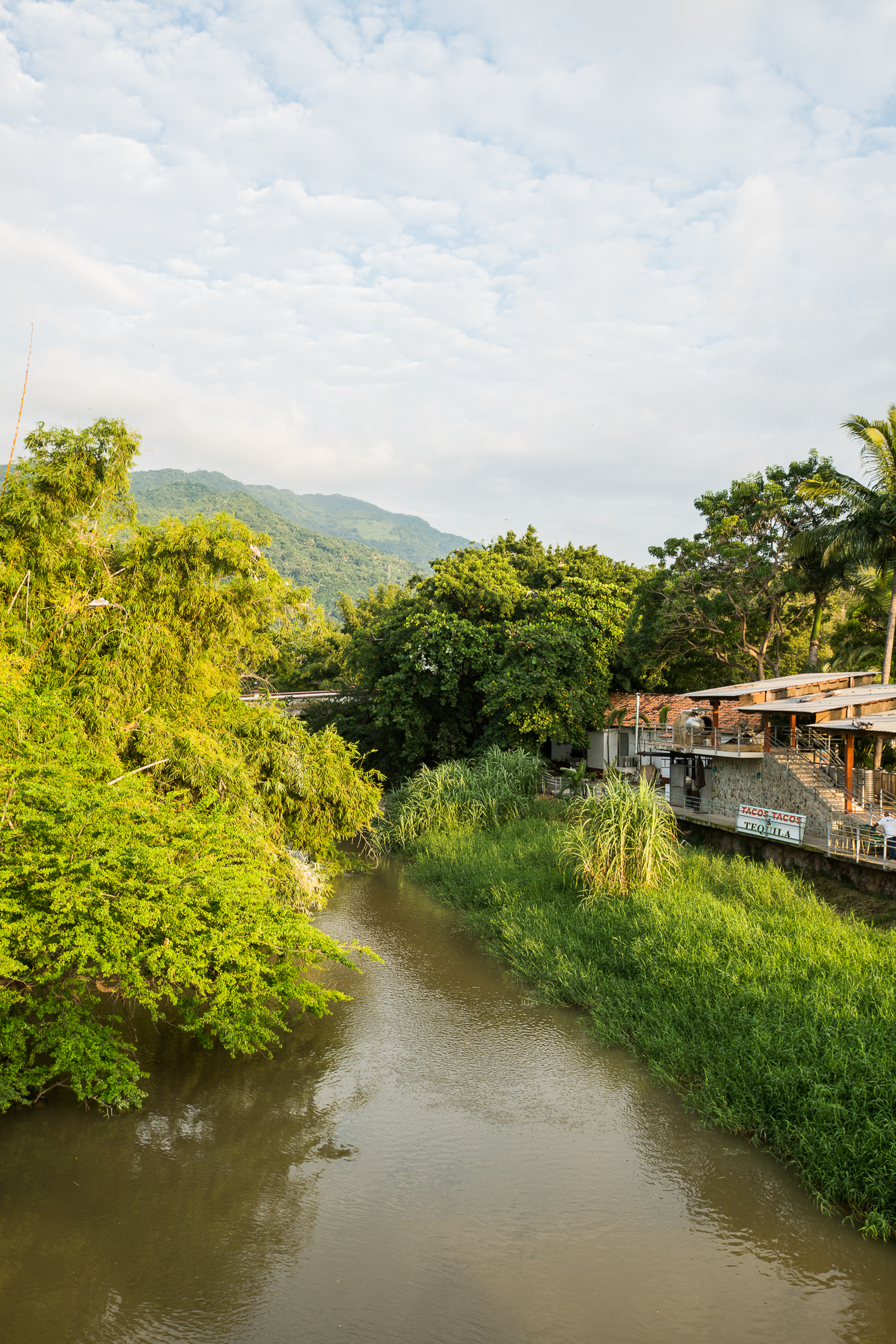 Wandering Puerto Vallarta / See & Savour