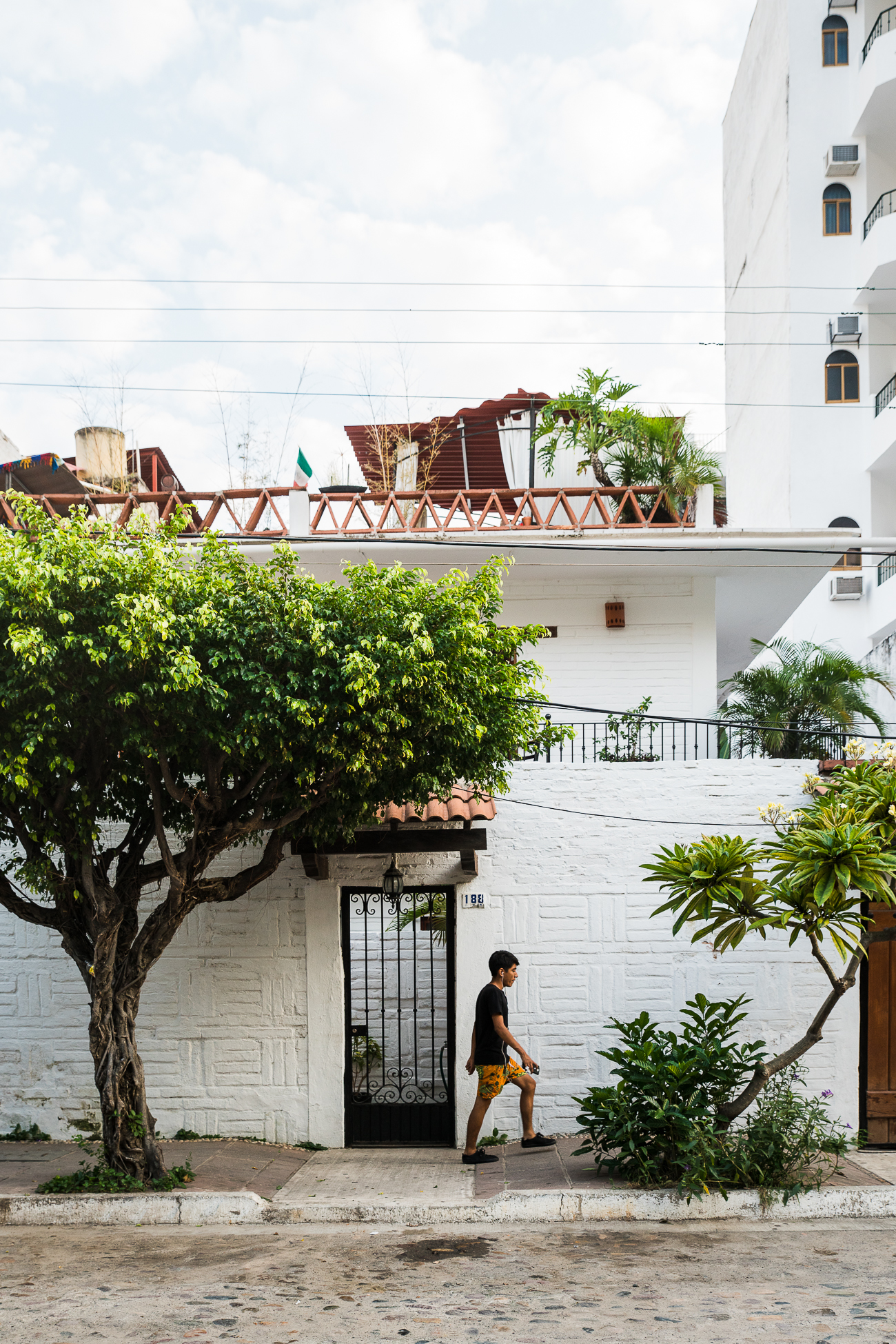 Wandering Puerto Vallarta / See & Savour