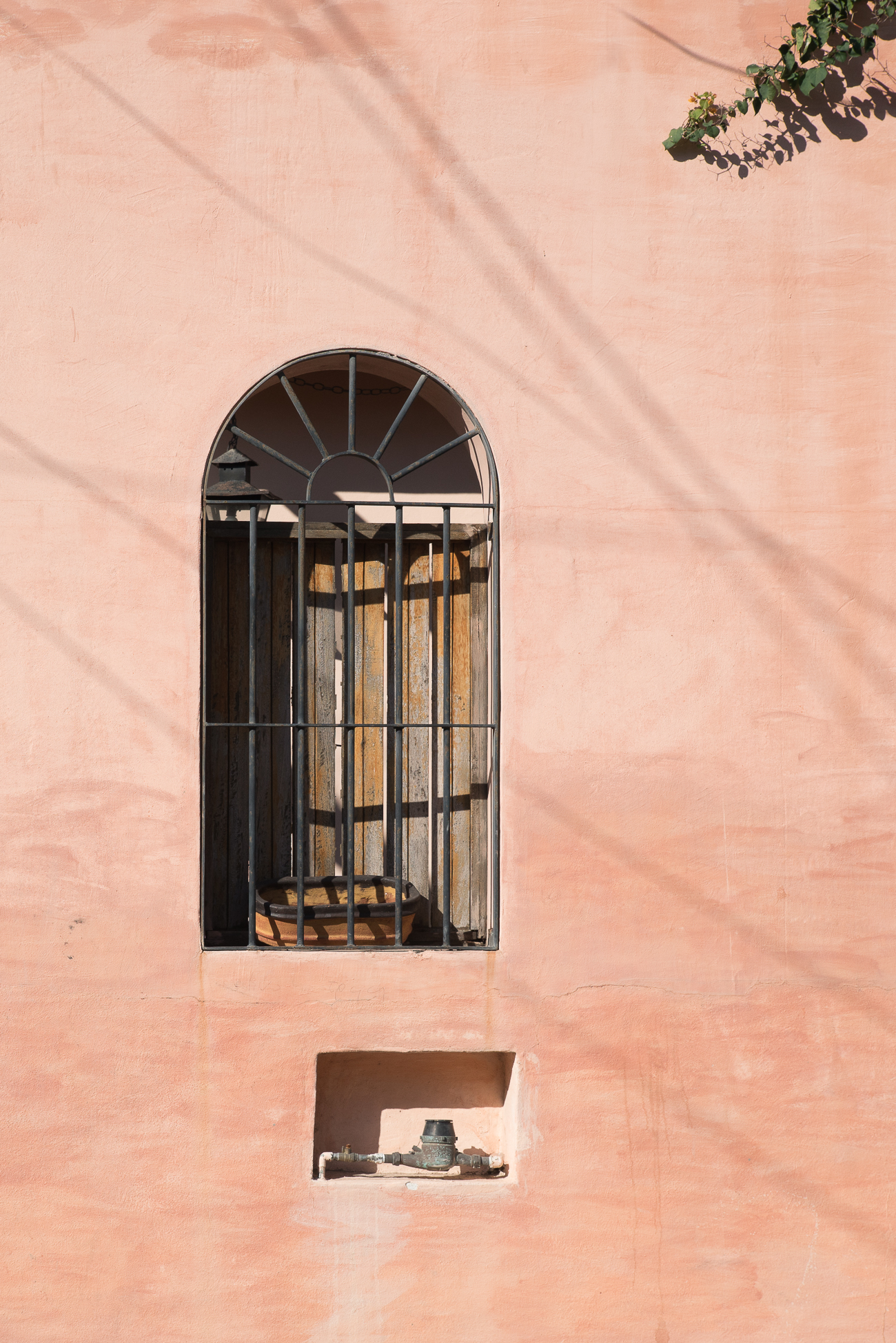 Mazatlan Streets / See and Savour