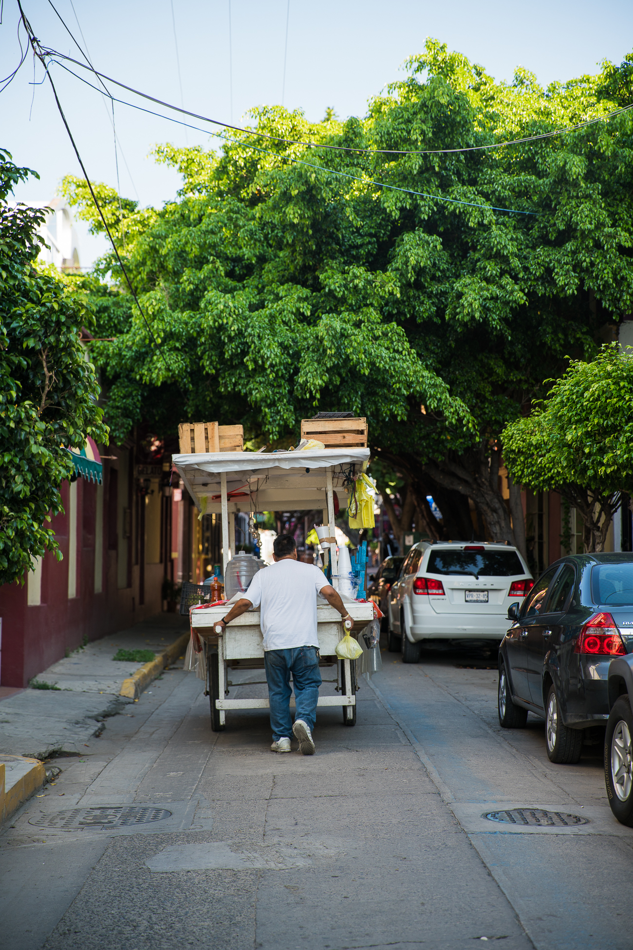 Mazatlan Streets / See and Savour