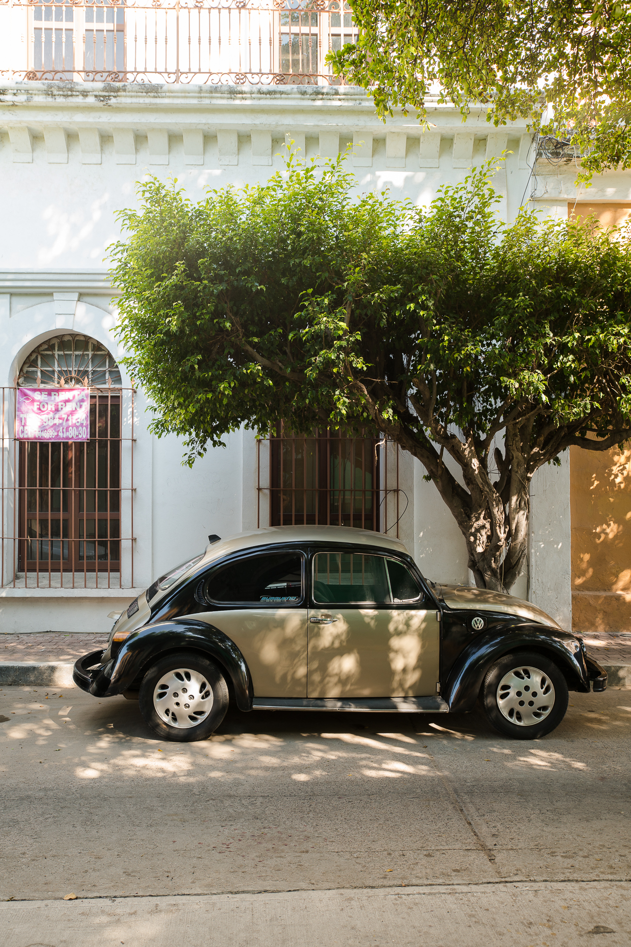 Mazatlan Streets / See and Savour