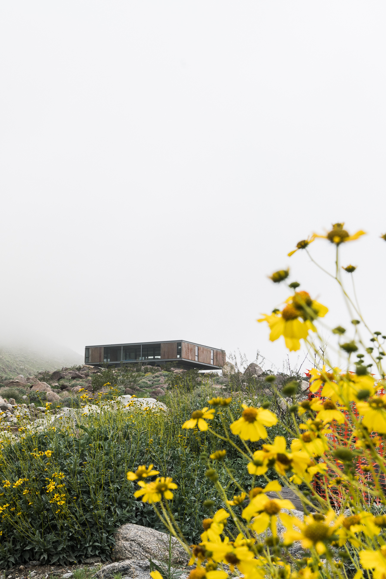 Al Beadle House - Chino Canyon Project / See and Savour