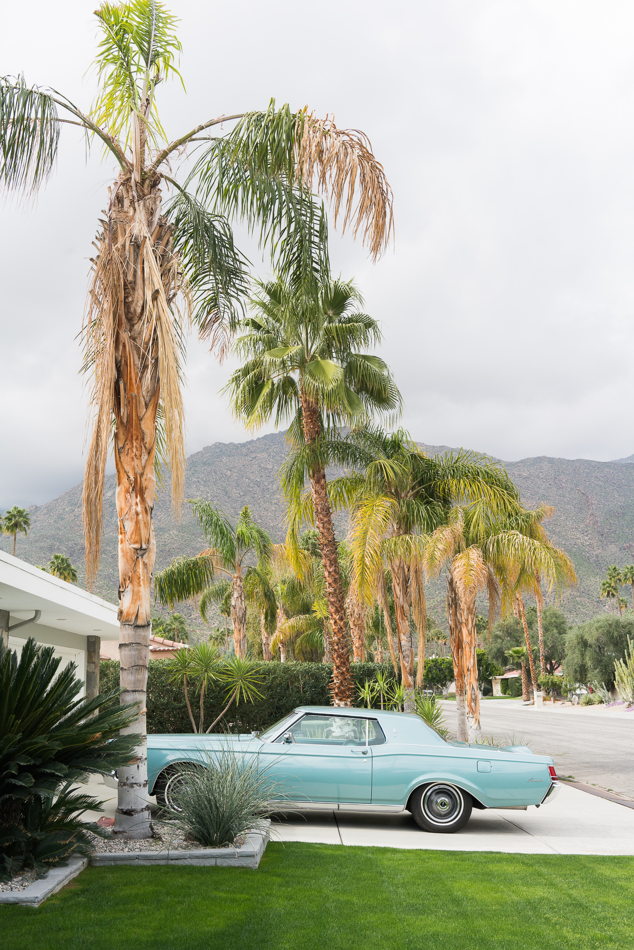 Modernism Week Palm Springs / See and Savour