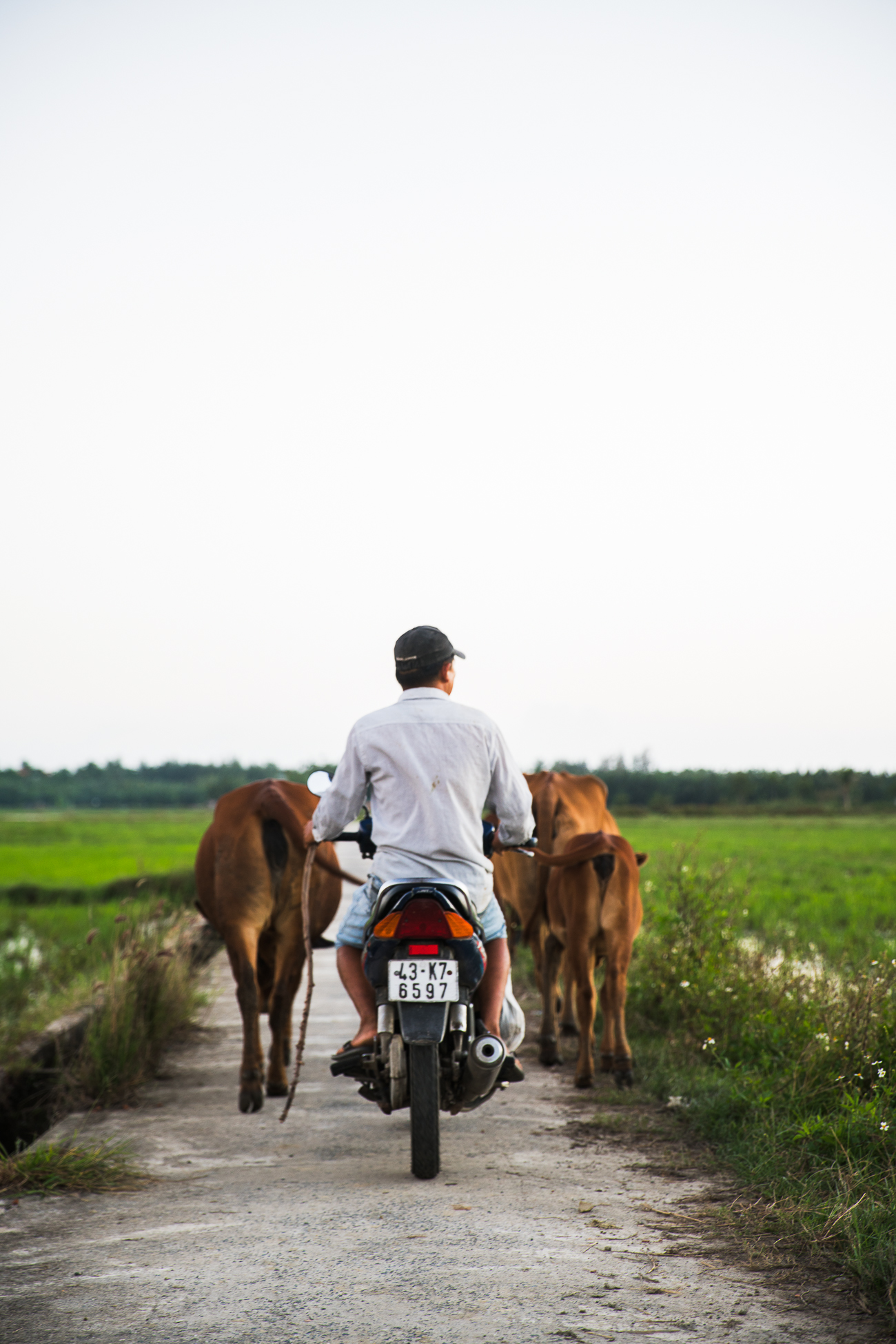 Hoi An, Vietnam / See and Savour