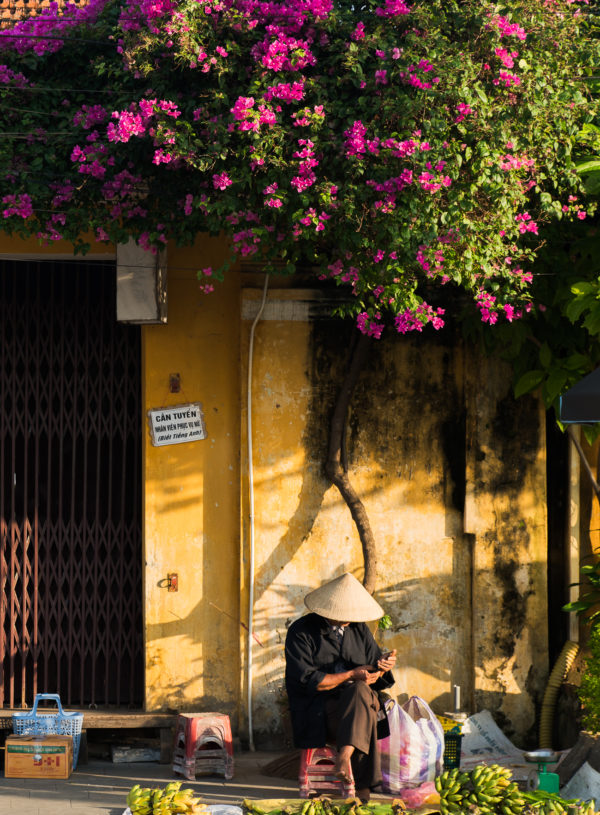 Hoi An, Vietnam / See and Savour