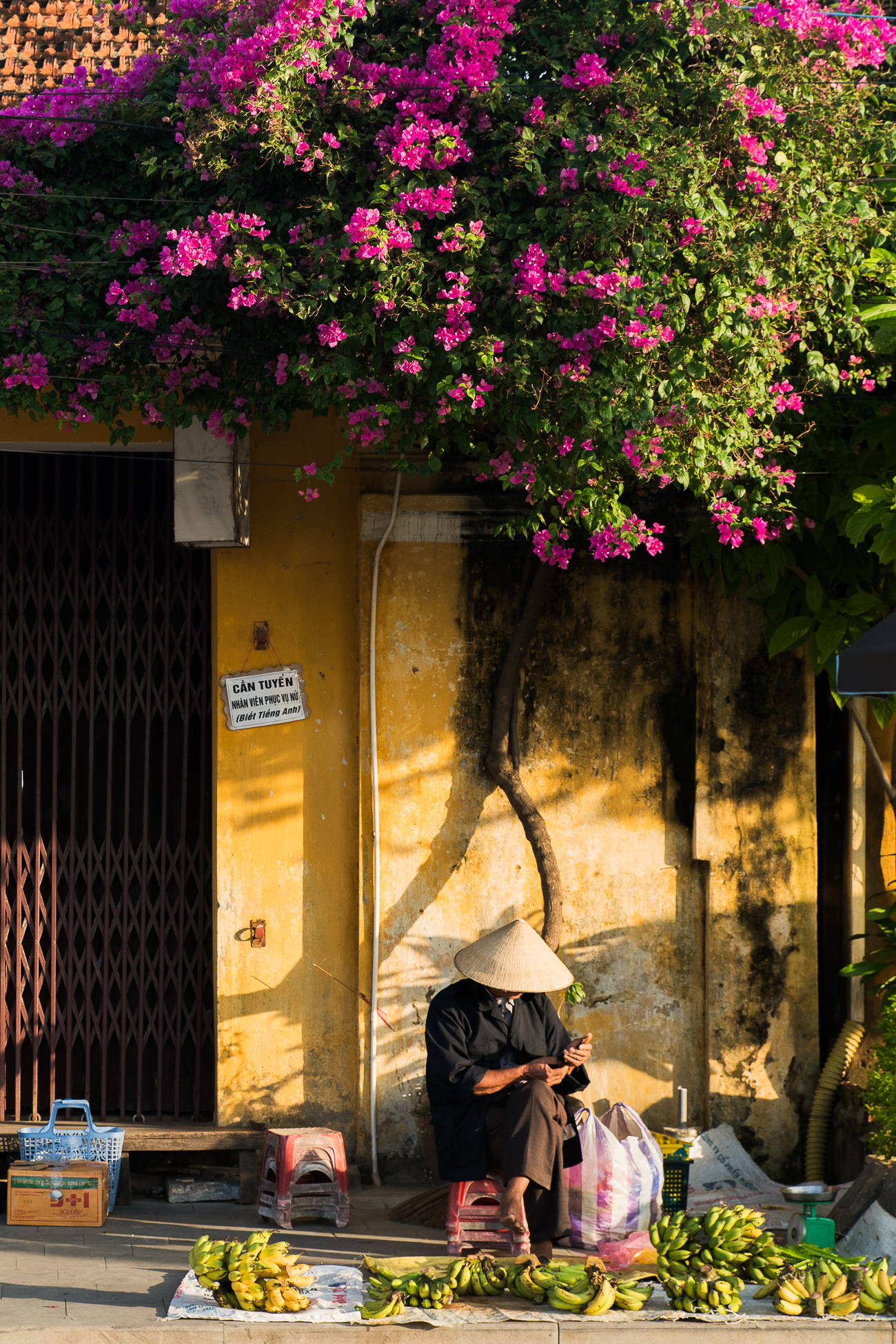 Travel Guide-Hoi An, Vietnam / See and Savour