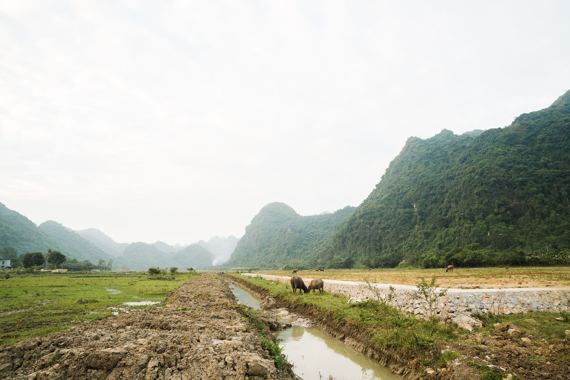 Travelogue: Ha Long Bay / See and Savour