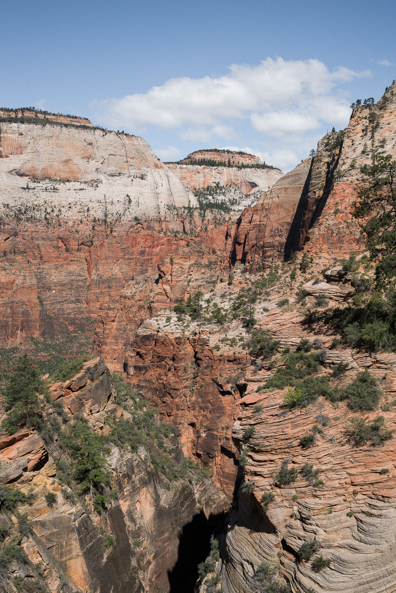 Discover Zion National Park / See and Savour