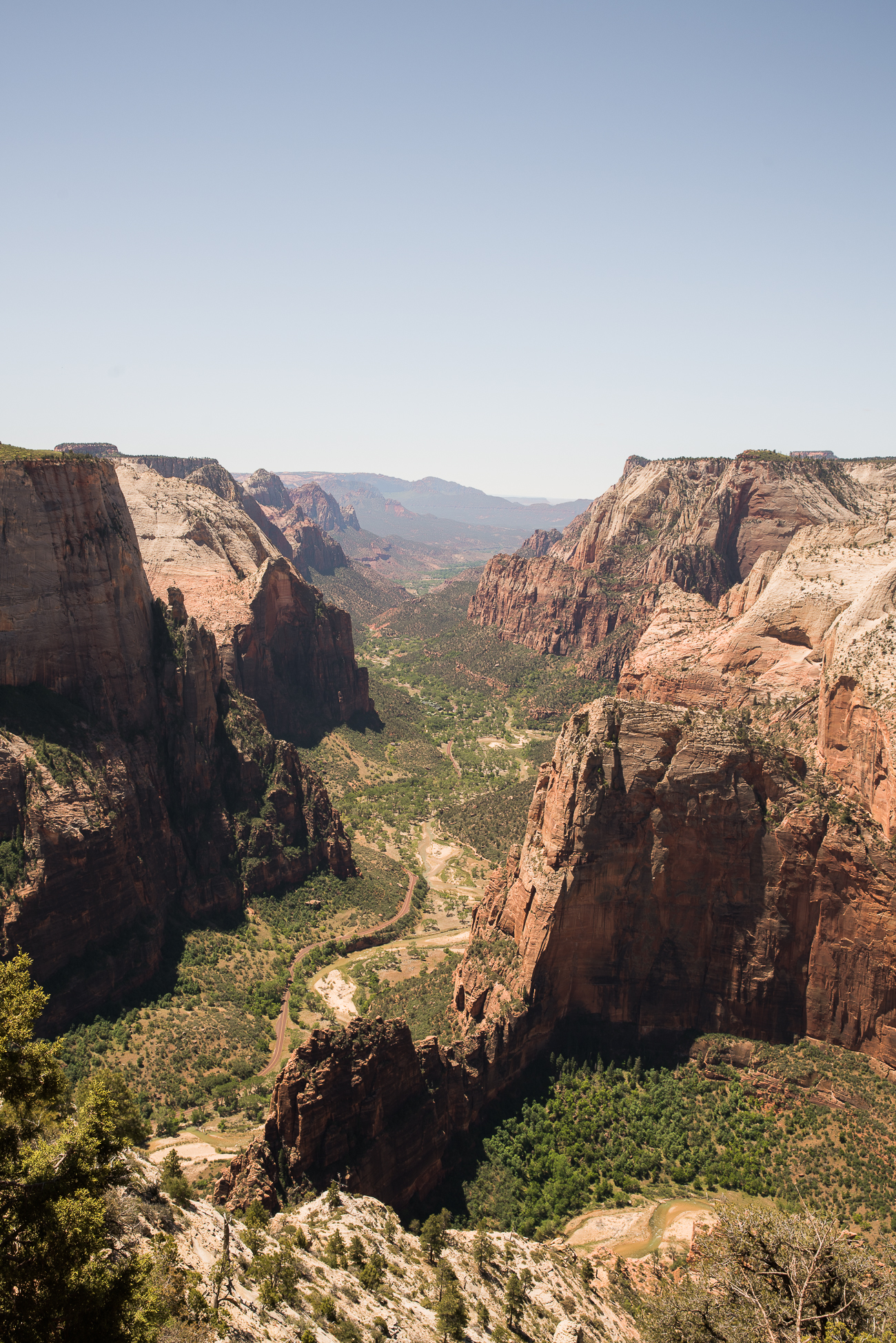 Observation Point at Zion National Park / See and Savour