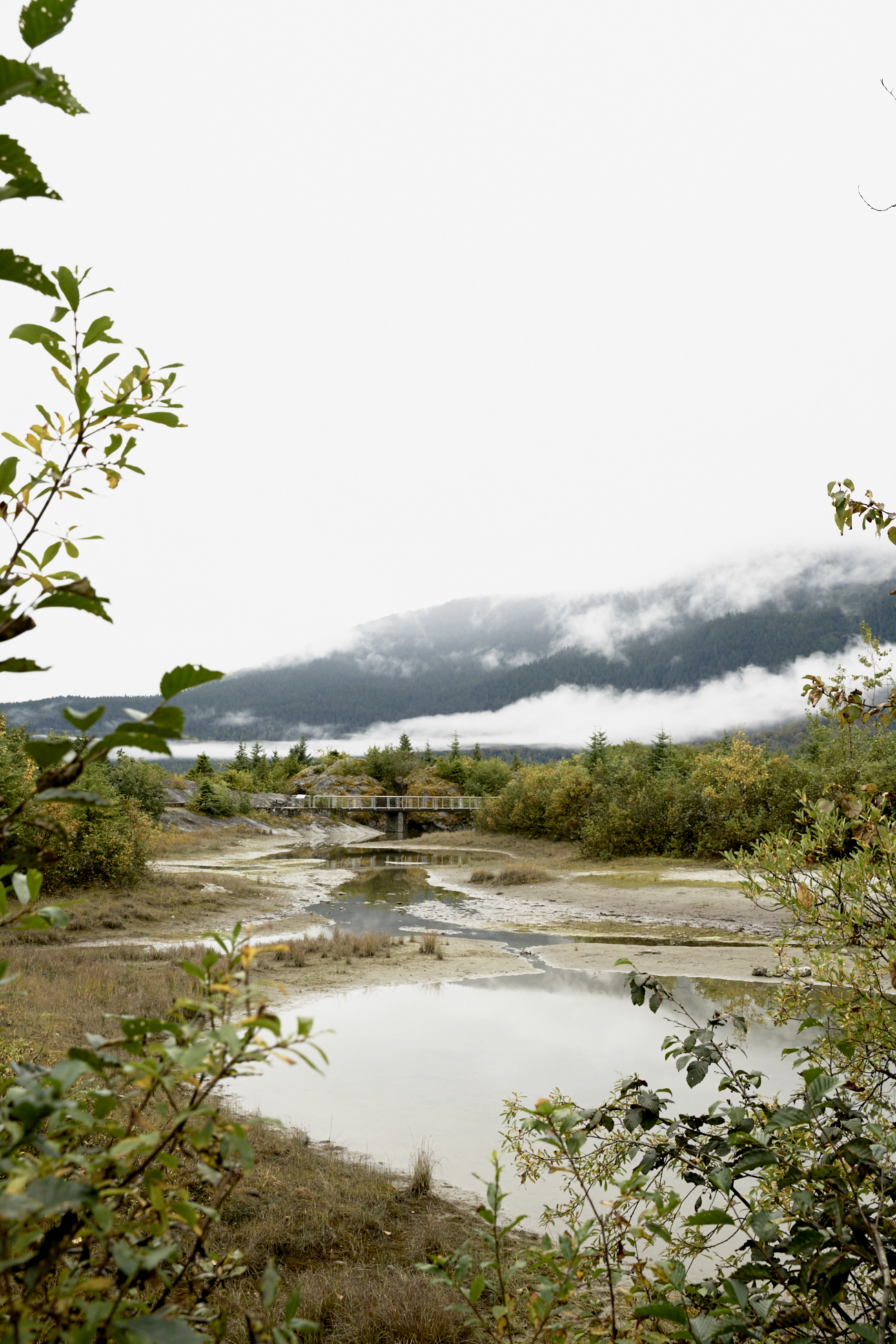 Mendenhall Glacier - Juneau, Alaska / See and Savour