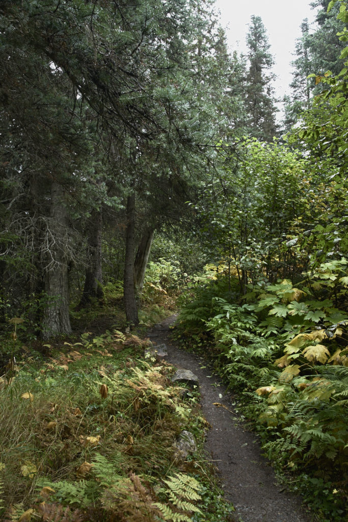 Shore excursions - Skagway Alaska, Hiking, Helicopter, White Pass & Yukon Route Railroad /