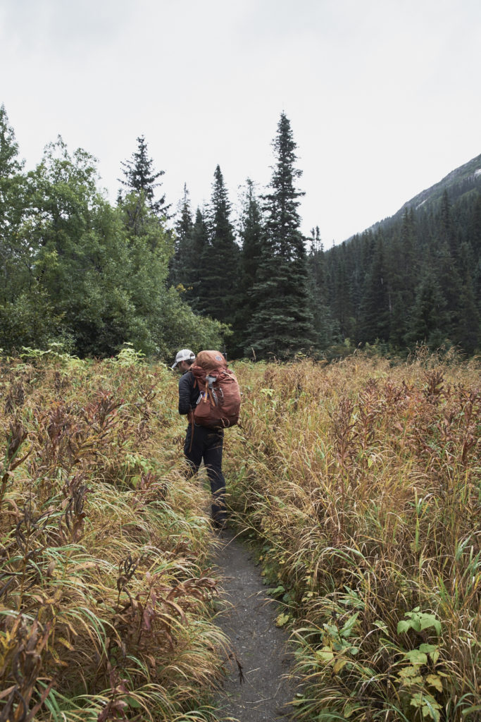 Shore excursions - Skagway Alaska, Hiking, Helicopter, White Pass & Yukon Route Railroad /