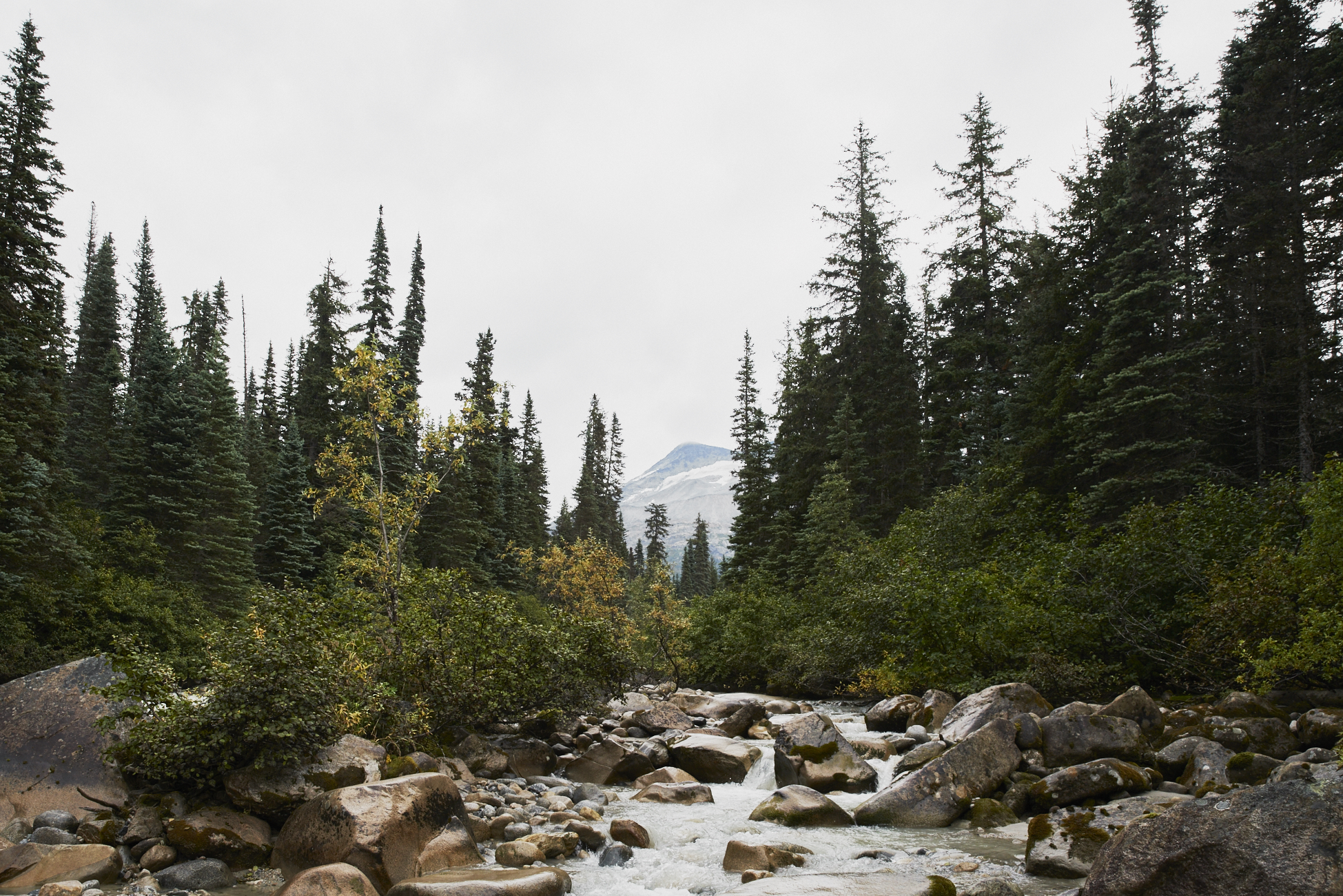 Shore excursions - Skagway Alaska, Hiking, Helicopter, White Pass & Yukon Route Railroad /