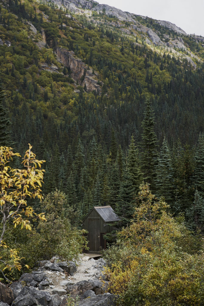 Skagway Alaska, Hiking in Tongass National Forest /