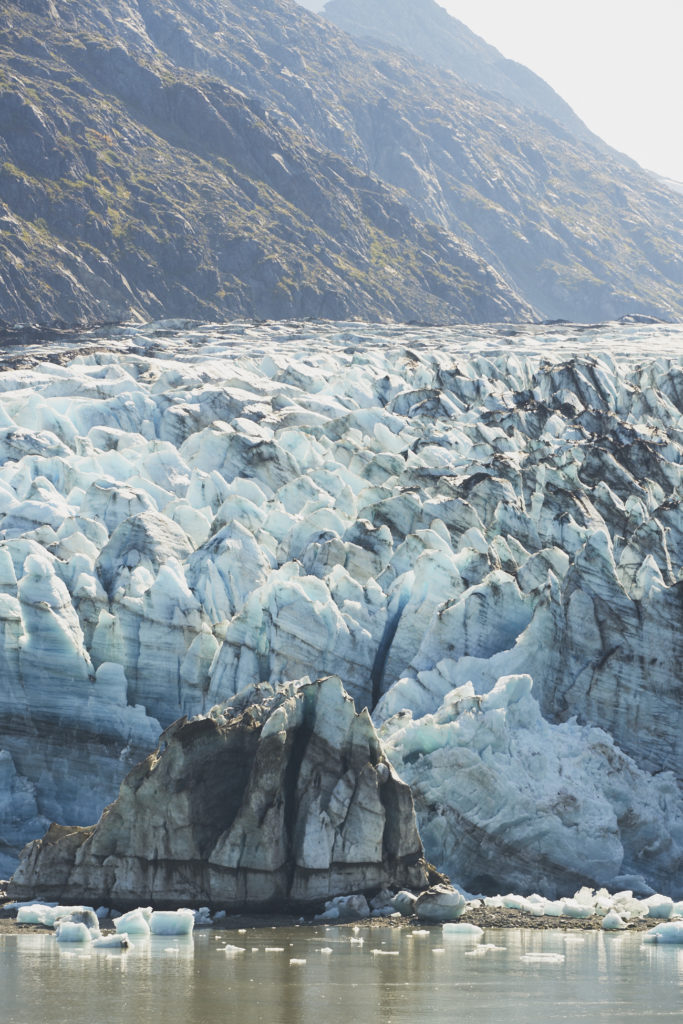 Lamplugh Glacier, Alaskan Cruise / See and Savour